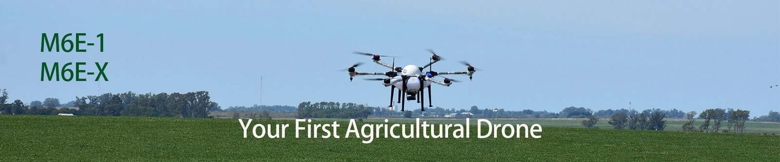 Fuco di spruzzatura di agricoltura