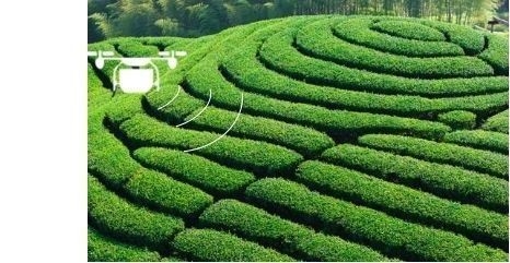 20L/Kg Capacità TPU Drone per la spruzzatura per agricoltura