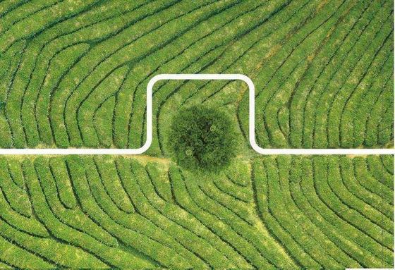 Drone a prova di vento per la spruzzatura di pesticidi