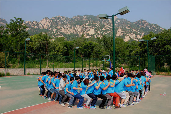 Drone elettrico per la spruzzatura delle colture facile da installare Drone per la spruzzatura delle erbacce