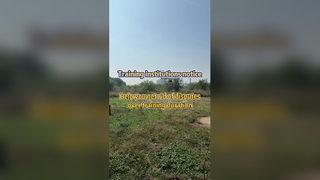 Il drone per l'irrorazione di precisione delle colture risolve le controversie sulla formazione